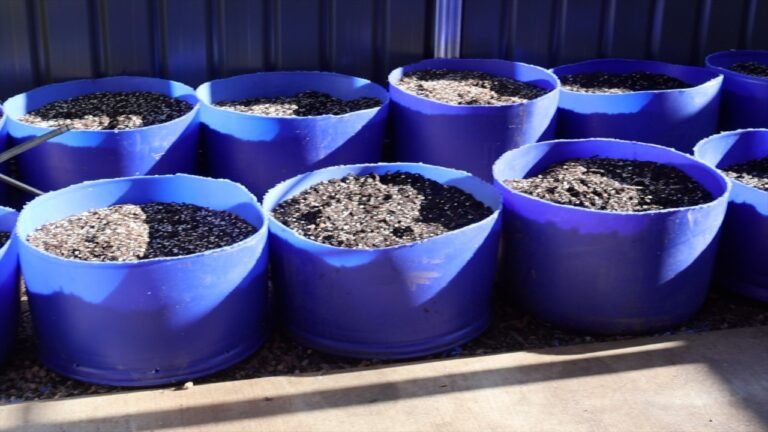 Resetting My Winter Drums for the Next Crop