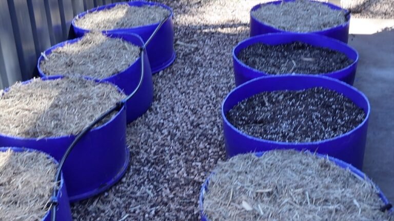 Winter Garden Reset: Adjusting the Plan as I Go