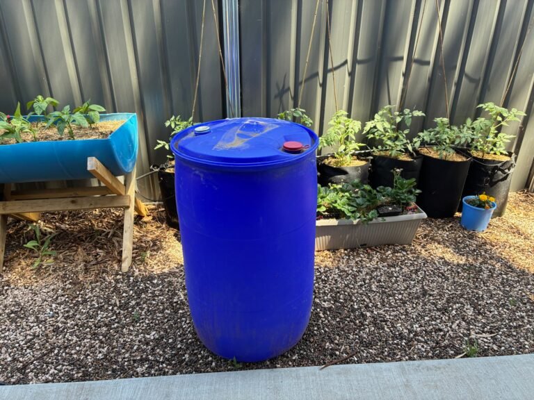 Expanding the Orchard With New Feijoa Planters