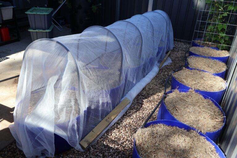 Adding Insect Protection and Resetting the Winter Herb Tower