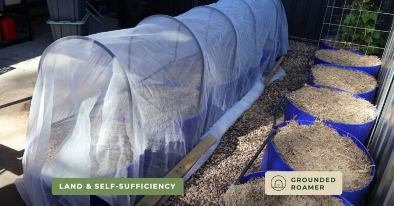 Adding Insect Protection and Resetting the Winter Herb Tower