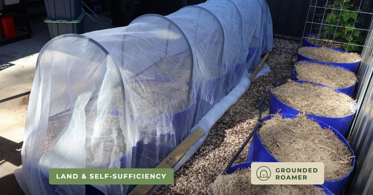 Adding Insect Protection and Resetting the Winter Herb Tower